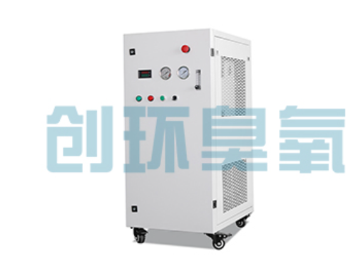 防城港石斑鱼养殖水质调控完整指南：臭氧发生器配置与操作步骤