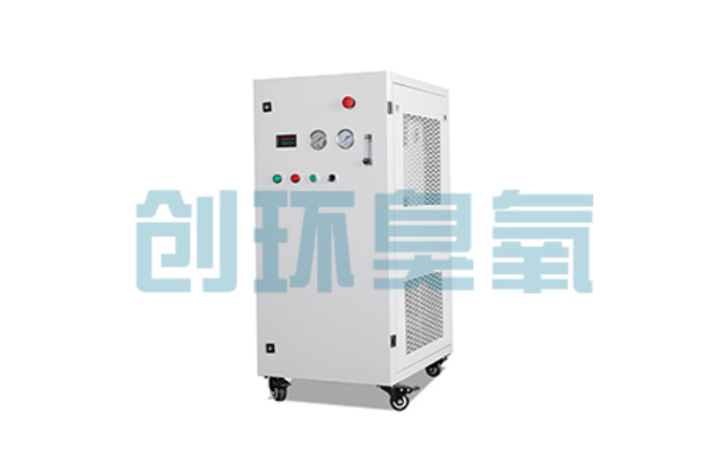 防城港比传统换水更高效？臭氧发生器在石斑鱼养殖中的水质净化原理解析